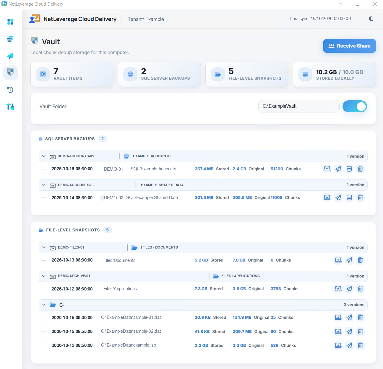 Vault page of the Delivery client